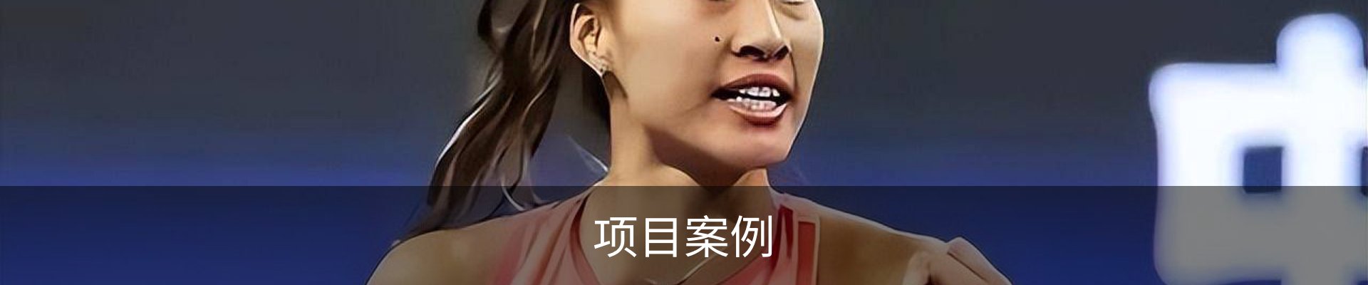 项目案例
